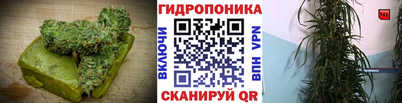 Cannafood марихуана  где можно купить   Стародуб 