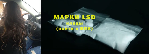 дмт Алзамай