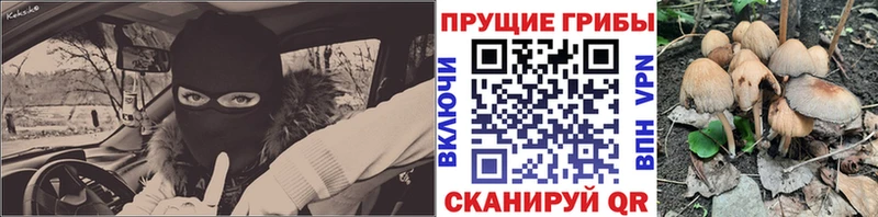 Галлюциногенные грибы Magic Shrooms  Стародуб 